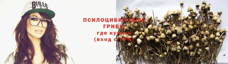 Галлюциногенные грибы MAGIC MUSHROOMS  Мамоново 